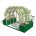 vine house